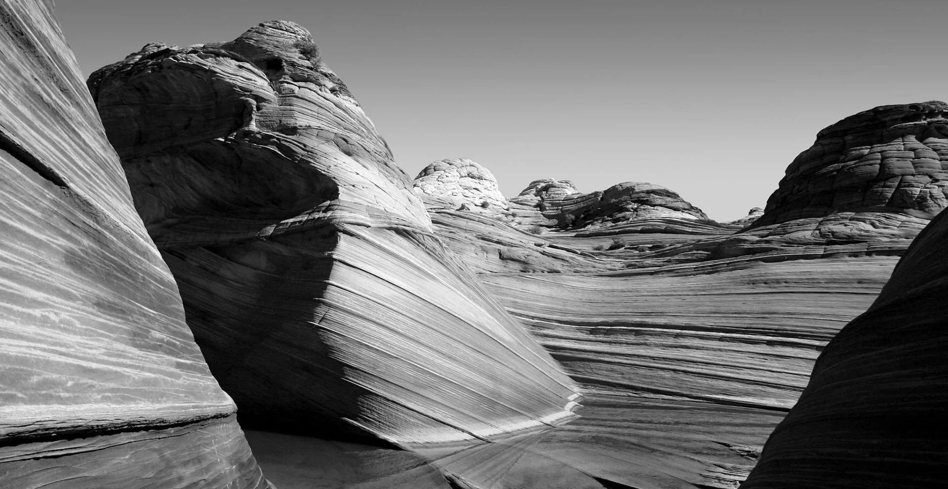 Sculpted by Nature, Crafted by Hand
