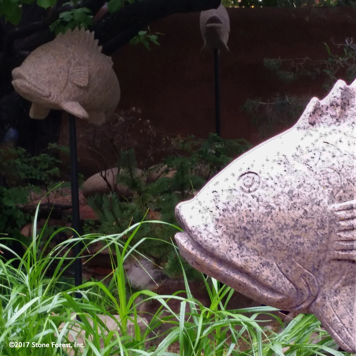 Carved Fish - Image 4