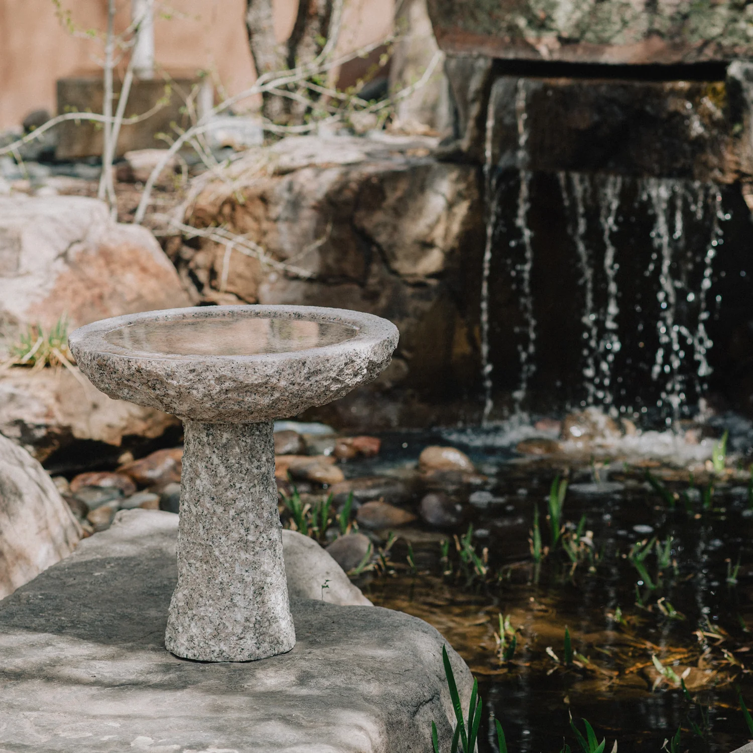Maru Birdbath