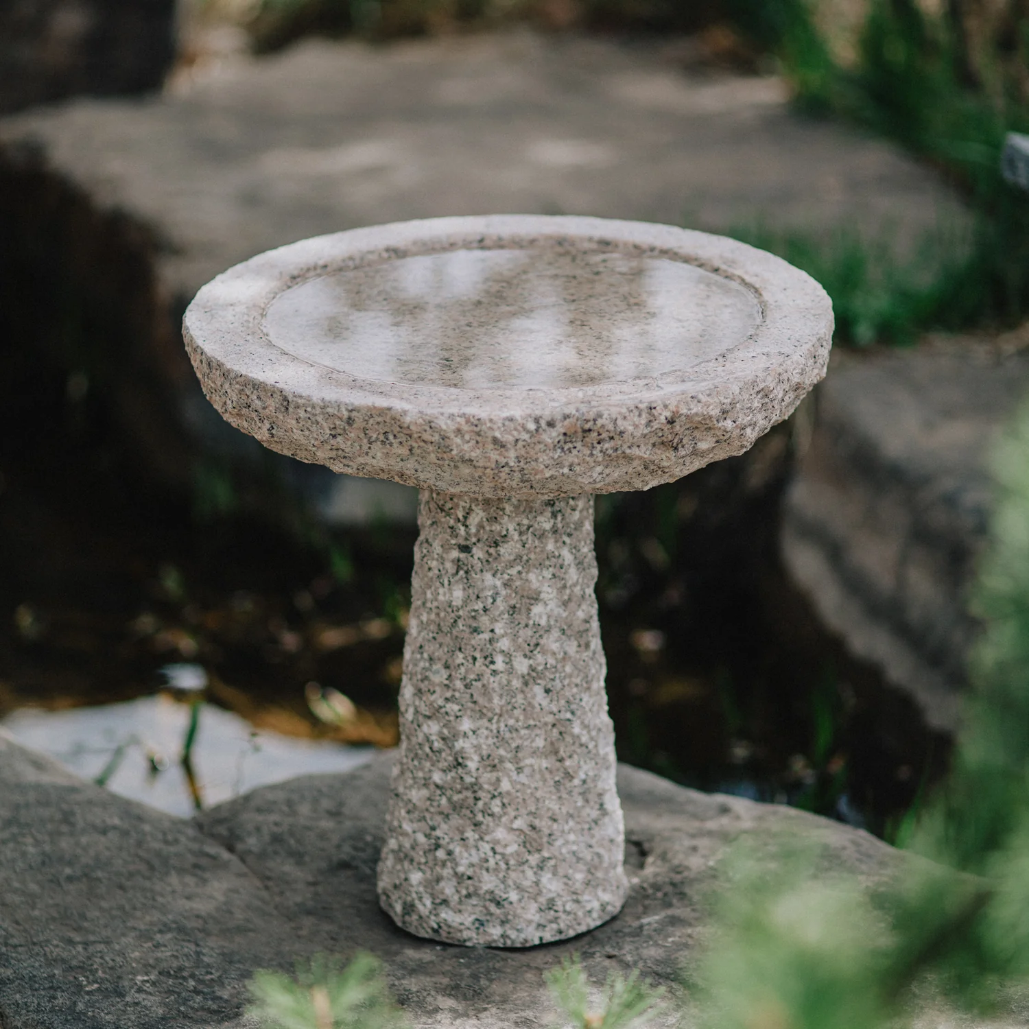 Maru Birdbath - Image 2
