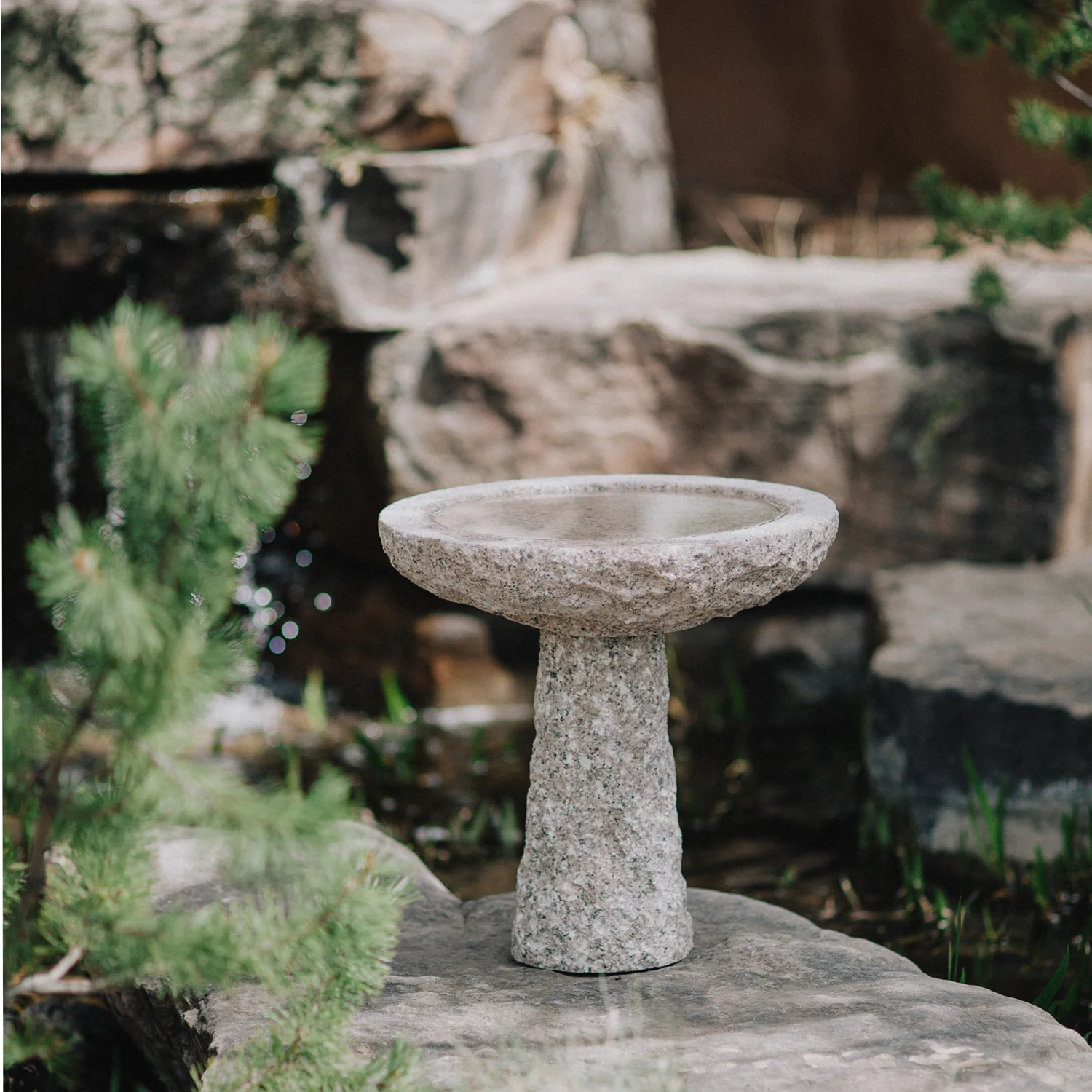 Maru Birdbath - Image 3