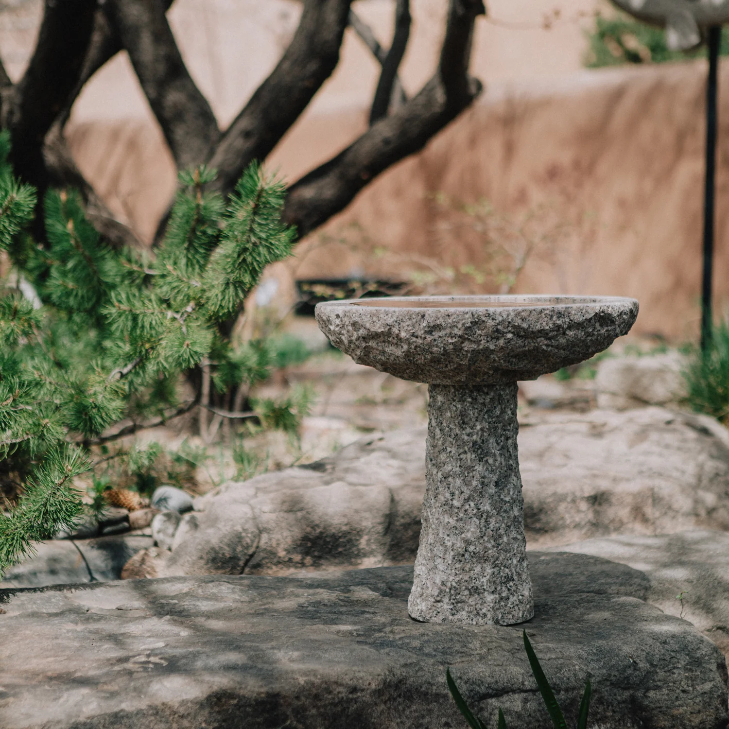 Maru Birdbath - Image 4