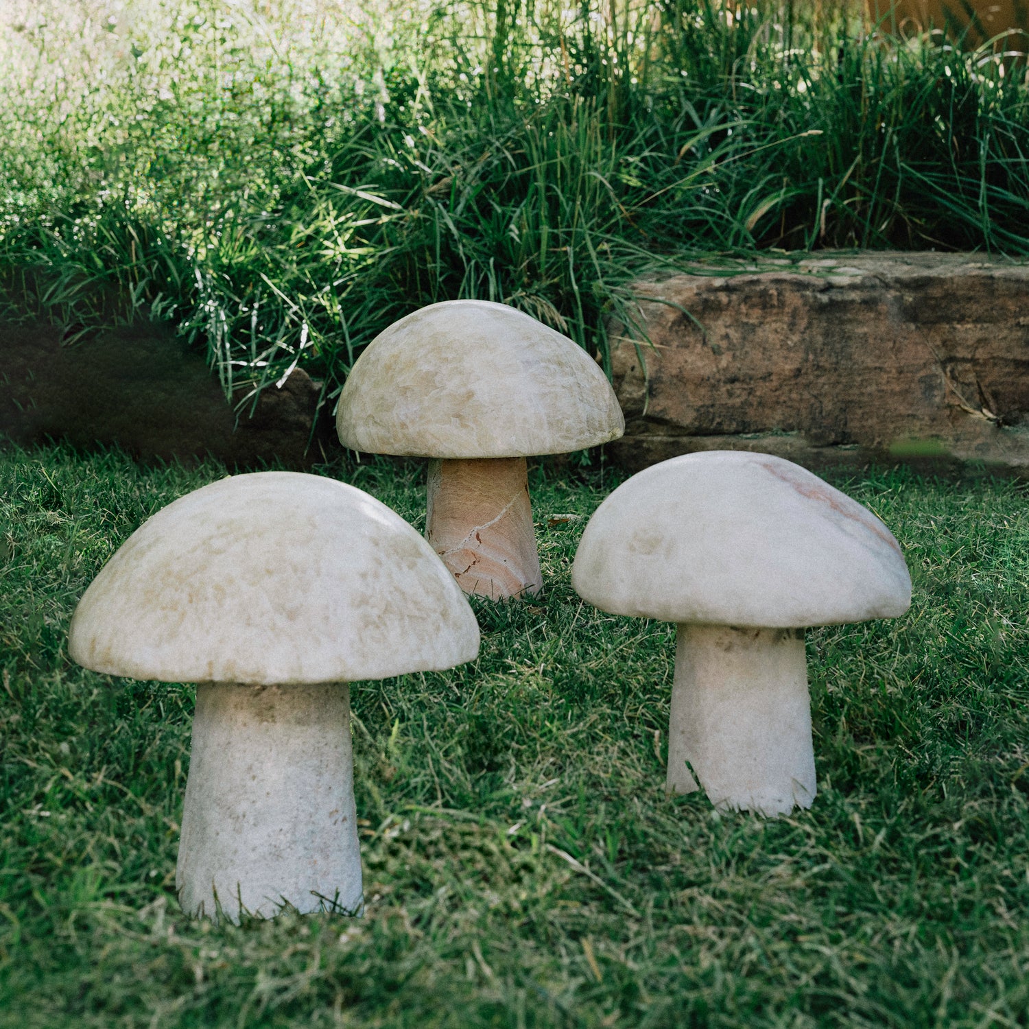 Mushrooms - Image 5